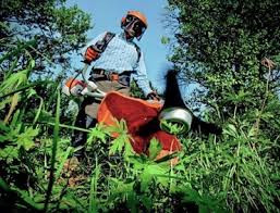 Weed Control Service